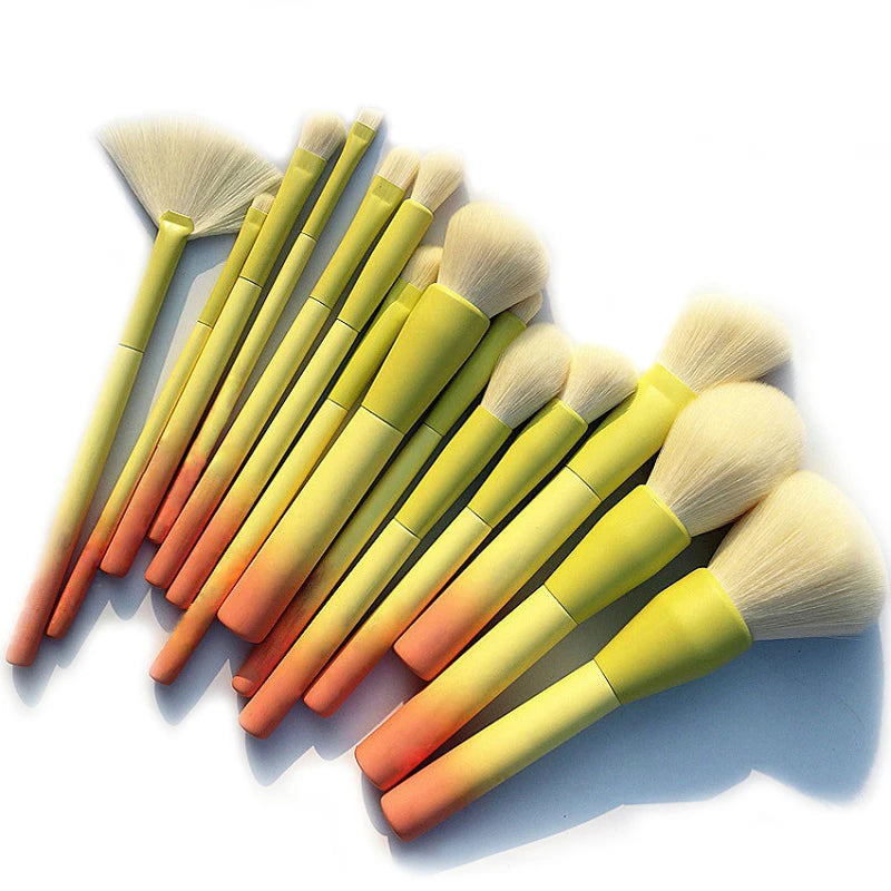 Pro Gradient Color 14pcs Makeup Brushes Set Soft Cosmetic Powder Blending Foundation Eyeshadow Blush Brush Kit Make Up Tools